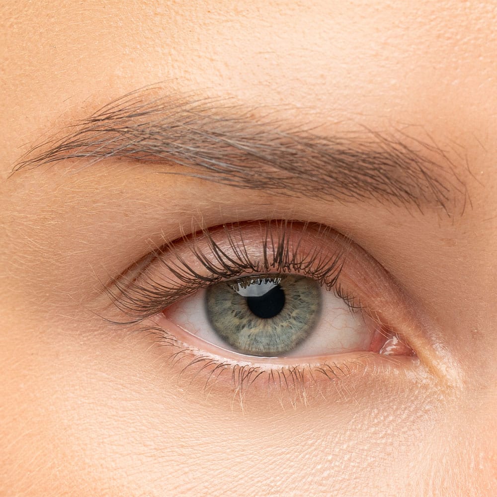 Invogue Lashes Collection – Trending, Daytime Chic & Playful Strip Lashes